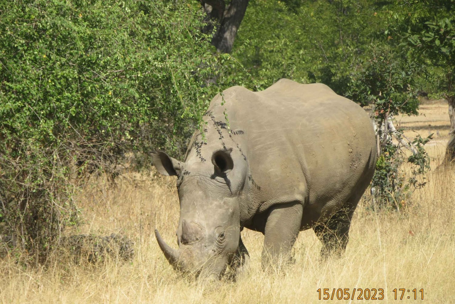 Victorian putoukset, Mosi-oa-Tunyan kansallispuisto ja museo