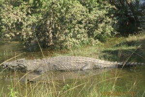 Victoriafallen, Mosi-oa-Tunya nationalpark och museum