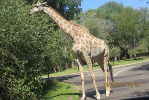 Victoriafallen, Mosi-oa-Tunya nationalpark och museum