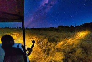 Atividade nocturna nas Cataratas Vitória: Safari de observação de estrelas