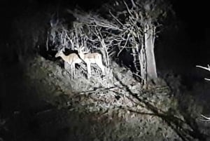 Atividade nocturna nas Cataratas Vitória: Safari de observação de estrelas