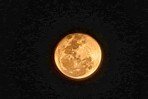 Atividade nocturna nas Cataratas Vitória: Safari de observação de estrelas