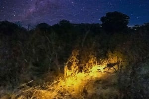 Atividade nocturna nas Cataratas Vitória: Safari de observação de estrelas