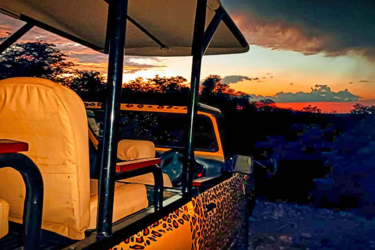 Victoria Falls: Night Experience in the Bush with 4x4