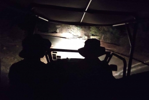 Victoria Falls: Night Experience in the Bush with 4x4