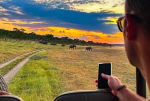 Victoria Falls: Night Game Drive Zambezi National Park