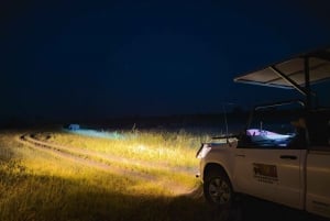 Victoria Falls: Night Game Drive Zambezi National Park