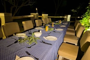 Victoria Falls: Night Game Drive Zambezi National Park