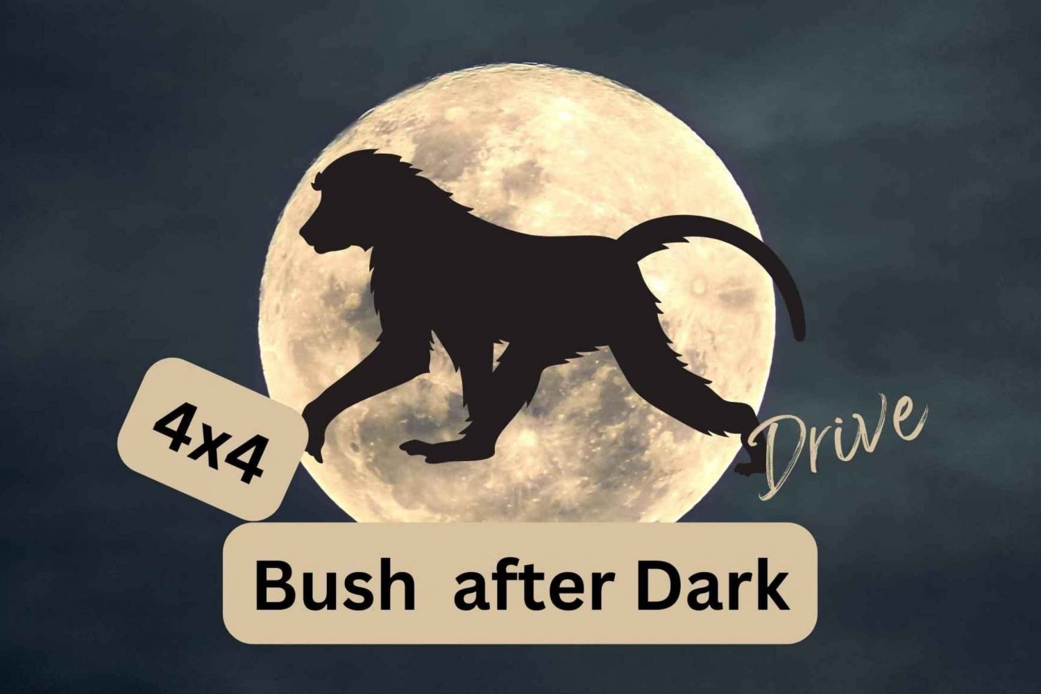 Victoria Falls Park: Bush After Dark Drive