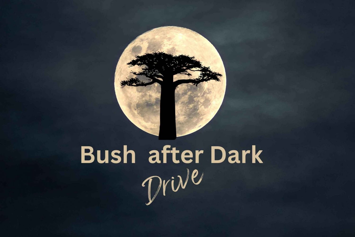 Victoria Falls Park : Bush by Night Drive