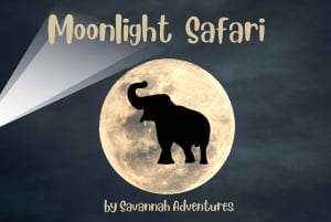 Victoria Falls Park: Moonlight Safari in Safari Jeep