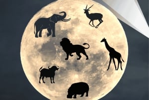 Victoria Falls Park: Sternenbeobachtung und Buschfahrt bei Nacht