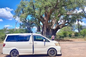 Victoria Falls Private Airport Transfer