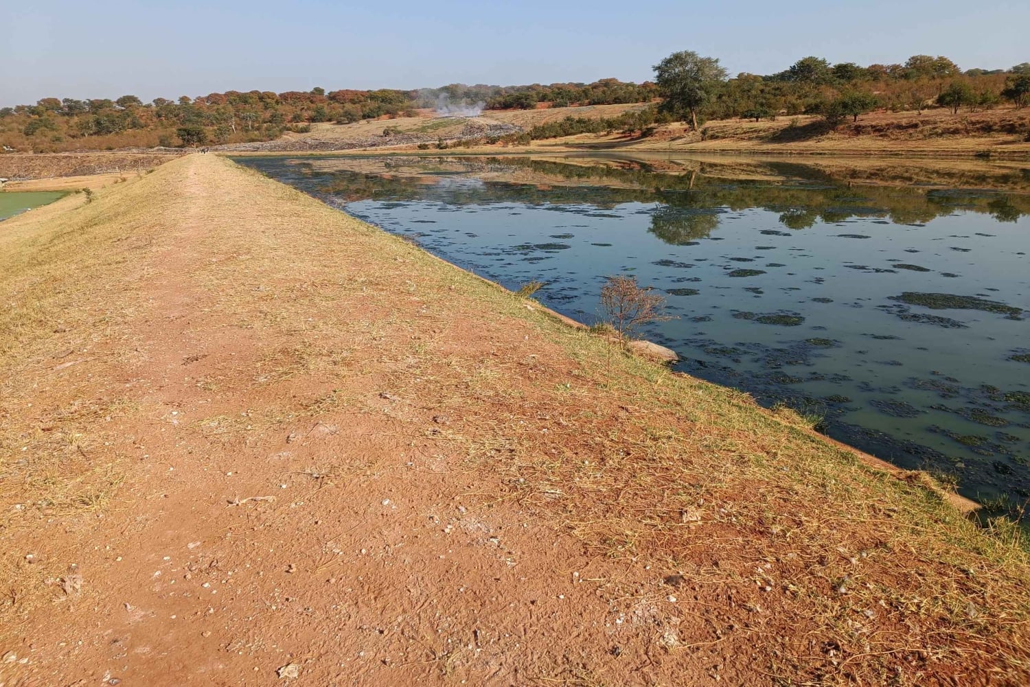 Victorian putoukset: Falls Fallsin vesillä: Yksityinen lintujenbongaussafari kaupungin lähellä.