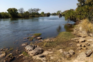 Victorian putoukset: Falls Fallsin vesillä: Yksityinen lintujenbongaussafari kaupungin lähellä.