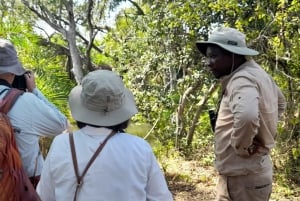 Victorian putoukset: Falls Fallsin vesillä: Yksityinen lintujenbongaussafari kaupungin lähellä.