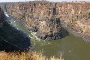 Victorian putoukset: Falls Fallsin vesillä: Yksityinen lintujenbongaussafari kaupungin lähellä.