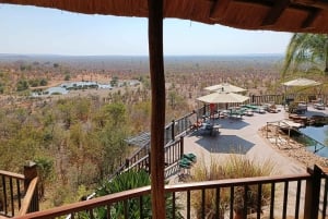 Victorian putoukset: Falls Fallsin vesillä: Yksityinen lintujenbongaussafari kaupungin lähellä.