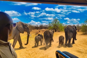 Victoria Falls: Private Game Drive - Blocked Middle Seat