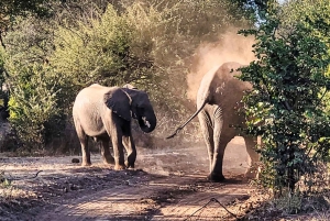 Victoria Falls: Private Game Drive - Blocked Middle Seat