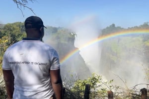 Victoria Falls: Private Guided Tour of the Falls