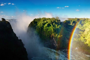 Victoria Falls: Private Guided Tour of the water Falls