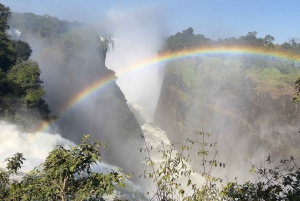 Victoria Falls: Private Guided Tour of the water Falls