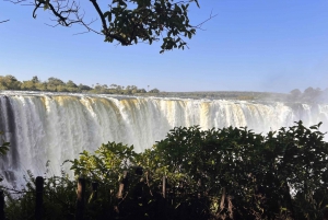 Victoria Falls: Private Guided Tour of the water Falls