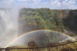 Водопады Виктории: Частная экскурсия с гидом к водопадам