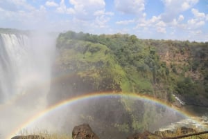 Водопады Виктории: Частная экскурсия с гидом к водопадам