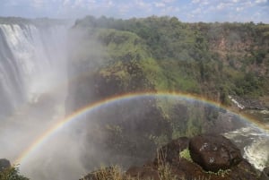 Водопады Виктории: Частная экскурсия с гидом к водопадам