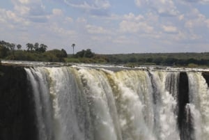 Водопады Виктории: Частная экскурсия с гидом к водопадам