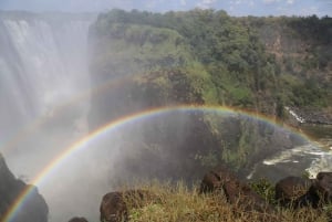 Водопады Виктории: Частная экскурсия с гидом к водопадам