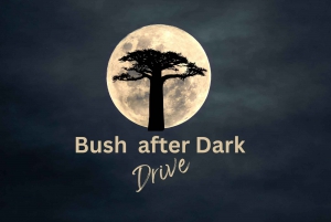 Victoria Falls: Private Night Drive Experience in 4x4