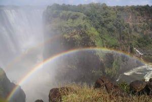 Victoria falls: Private sunrise of the falls