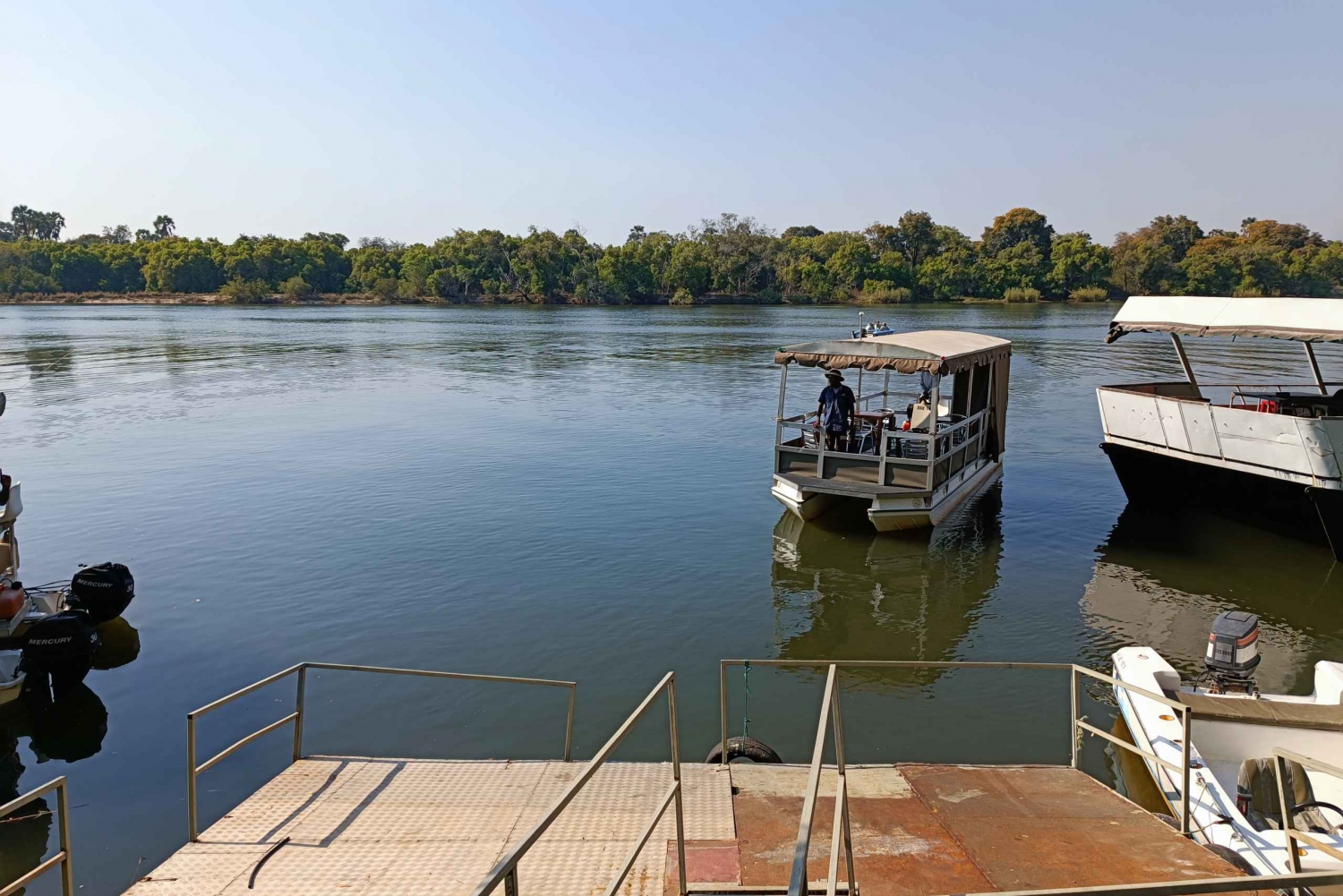 Victoria Falls: Private Zambezi River Birdwatching Safari
