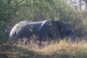 Victoria Falls: Private Zambezi River Birdwatching Safari