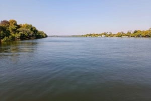 Victoria Falls: Private Zambezi River Birdwatching Safari