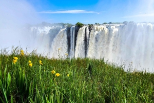 Victoria Falls: Private Zambian and Zimbabwean Sides Tour