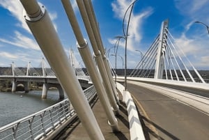 Cascate Vittoria: Escursione di un giorno al Quadripoint e al Chobe con pranzo