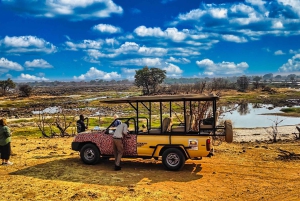 Victoria Falls: SADC Special 4x4 Victoria Falls Town Safari