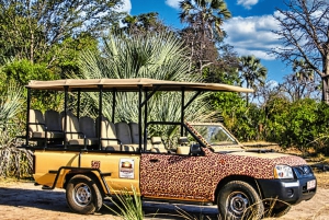 Victoria Falls: SADC Special 4x4 Victoria Falls Town Safari