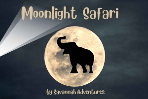 Victoria Falls : Safari by Night in 4x4