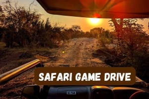 Victoria Falls: Safari Game Drive med afhentning på hotellet