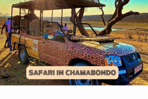 Victoria Falls: Safari in Chamabondo