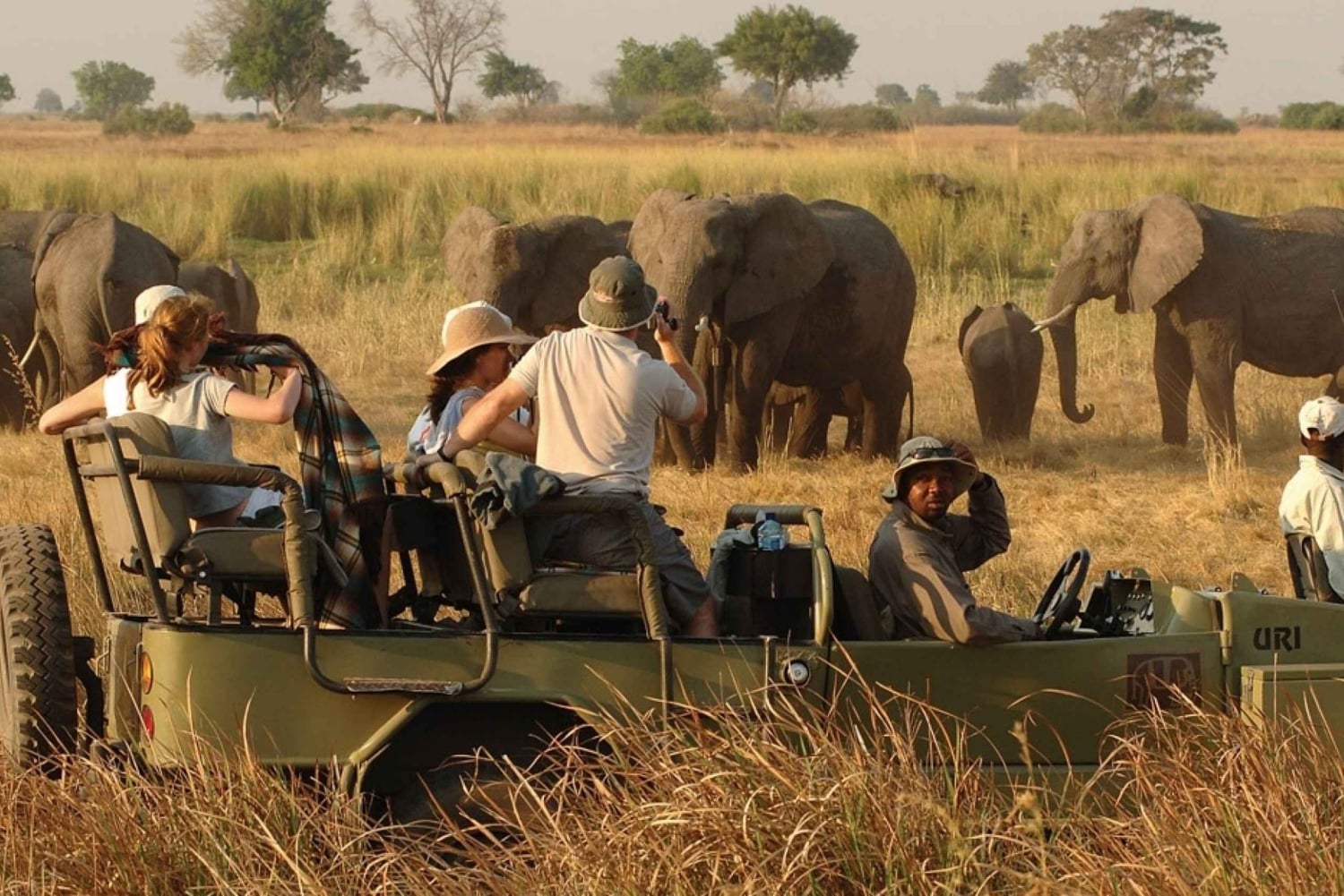 Safari nas Cataratas Vitória com almoço e cruzeiro ao pôr do sol