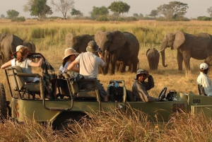 Victoria Falls Safari with Lunch and Sunset Cruise