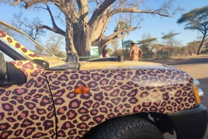 Victoria Falls: Safari