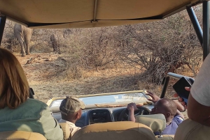 Victoria Falls: Safari