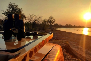 Victoria Falls: Safari
